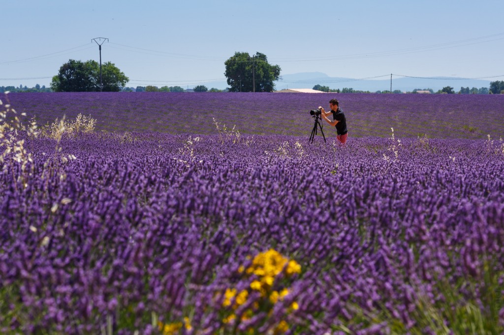 Backstage Photographe, Jérémy Rasse, Lavandin, Valensole